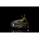 Iron Studios Loki (TV) Alligator Loki 1:10 Scale Statue