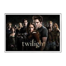 NECA Twilight Sticker F Cast