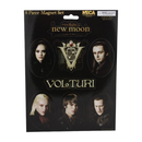 NECA The Twilight Saga: New Moon Magnet Sheet Volturi (8pc)