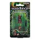 WizKids Games Wardlings Boy Wizard & Imp Pre Painted Minis