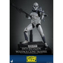 Hot Toys Star Wars 104th Battalion Wolfpack Clone Trooper 1:6 Scale Collectable Action Figure