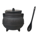 Ikon Collectables Harry Potter Cauldron with Lid & Spoon Soup Mug