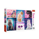 Puzzle Neon Colour Line Cats 1000Pc